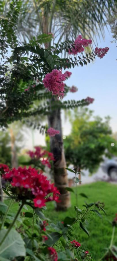 The Butterflies Wood House Villa Reshafim Bagian luar foto
