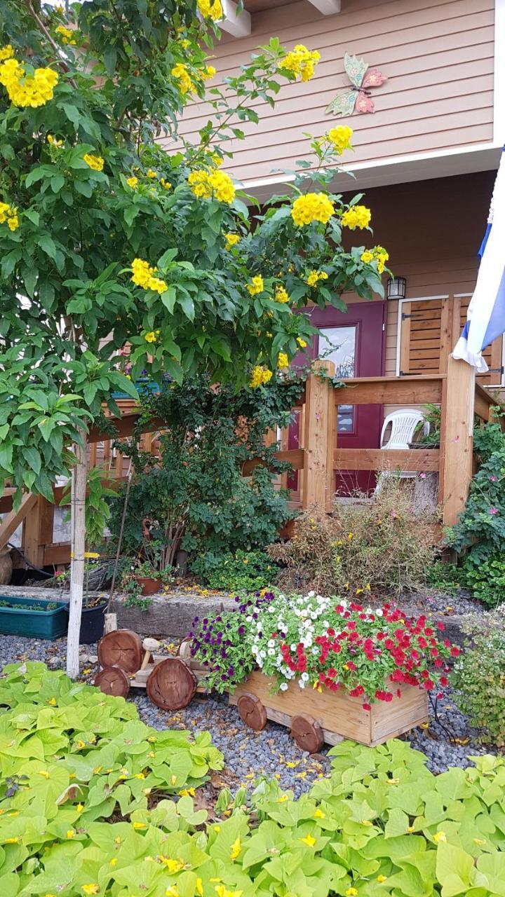 The Butterflies Wood House Villa Reshafim Bagian luar foto